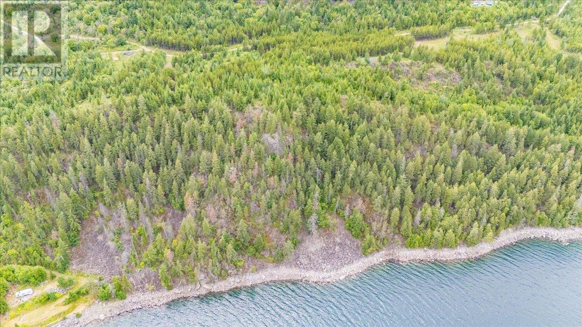Lower Arrow Lake Other, Castlegar