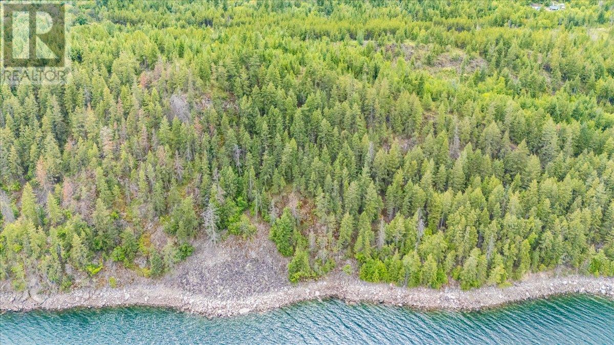 Lower Arrow Lake Other, Castlegar