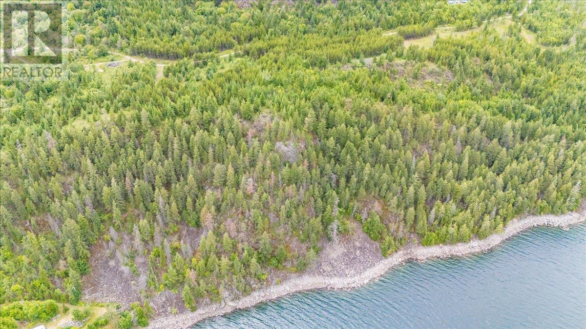 Lower Arrow Lake Other, Castlegar