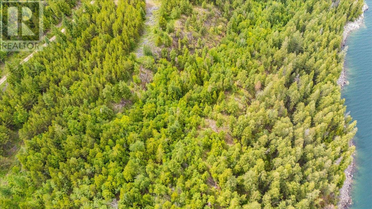 Lower Arrow Lake Other, Castlegar