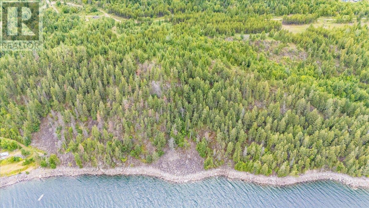 Lower Arrow Lake Other, Castlegar