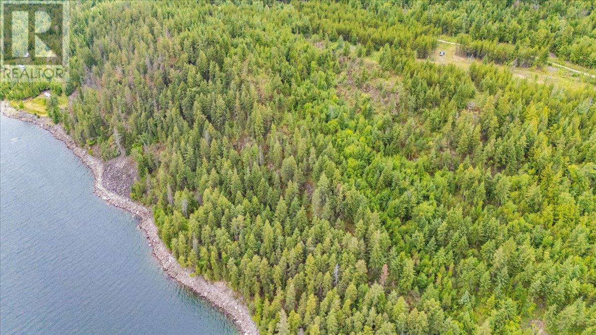 Lower Arrow Lake Other, Castlegar