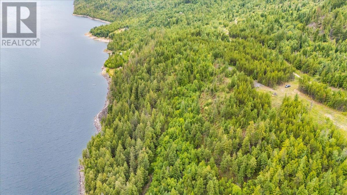 Lower Arrow Lake Other, Castlegar