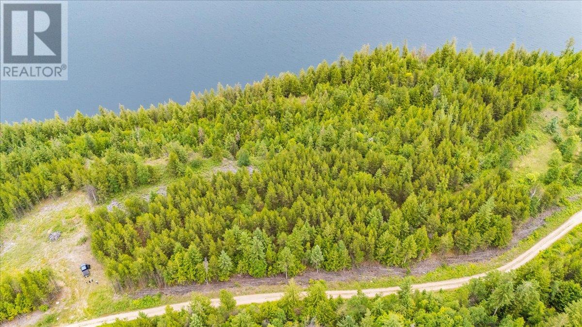 Lower Arrow Lake Other, Castlegar