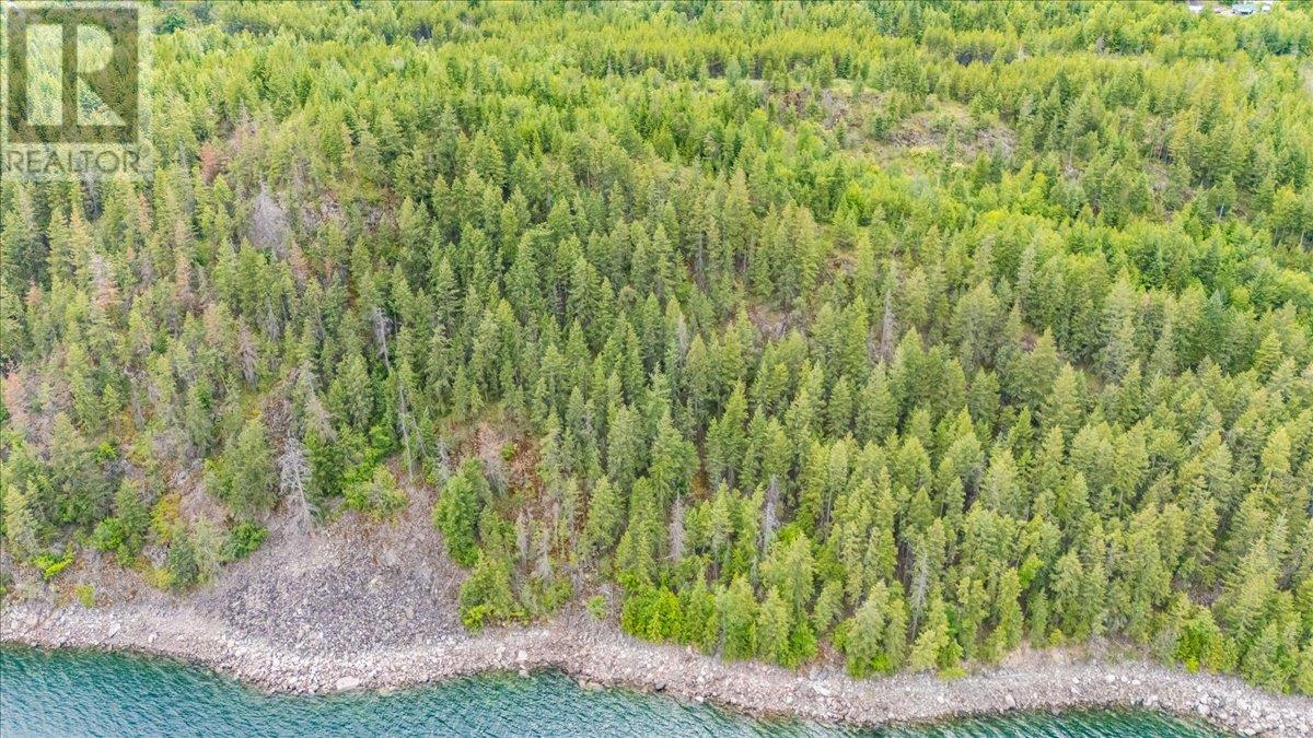 Lower Arrow Lake Other, Castlegar