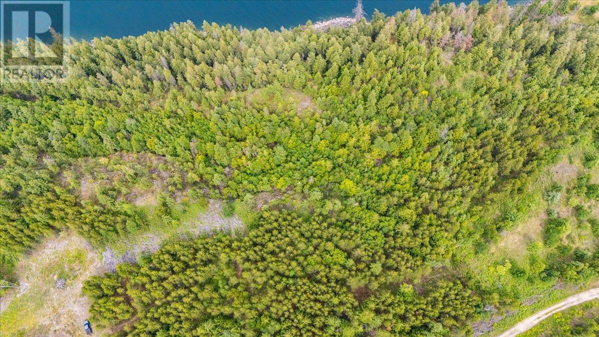 Lower Arrow Lake Other, Castlegar