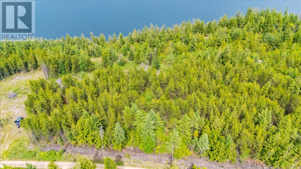Lower Arrow Lake Other, Castlegar