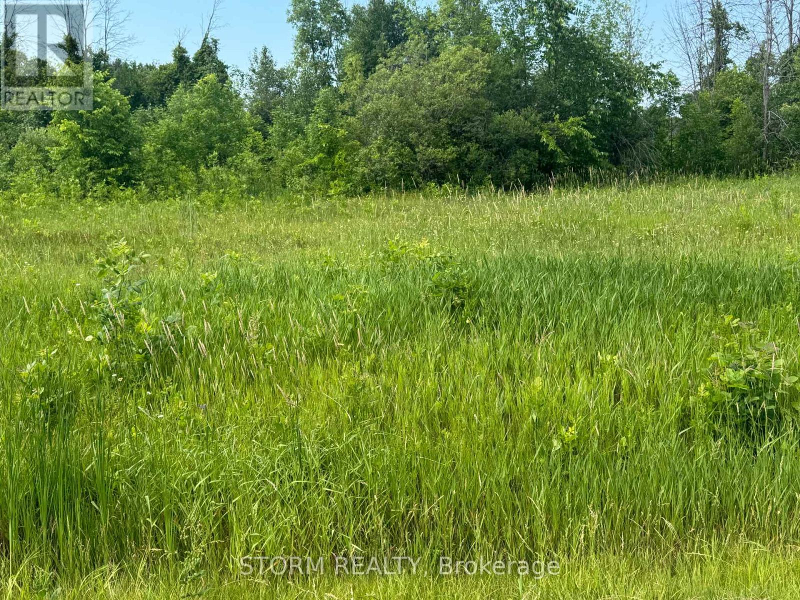Photo 3 of Lot 18 County 18 Road, South Stormont ON