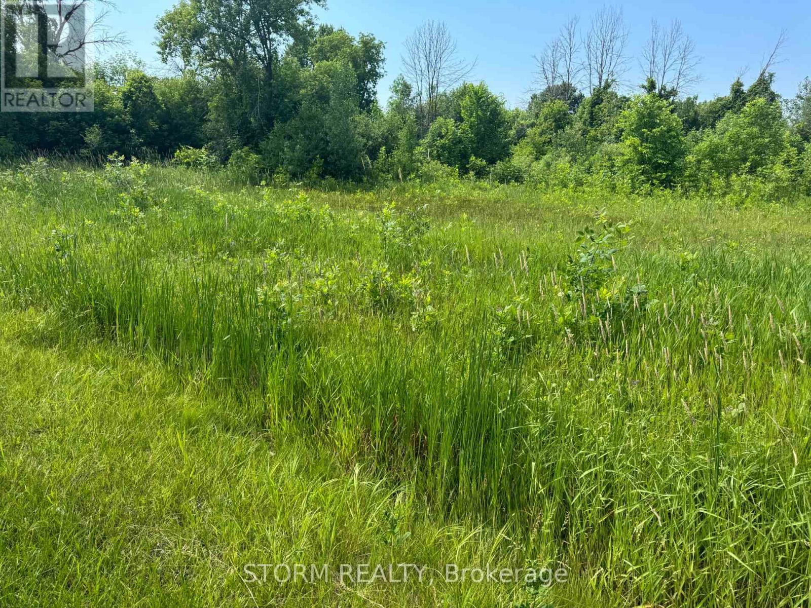 Photo 2 of Lot 18 County 18 Road, South Stormont ON