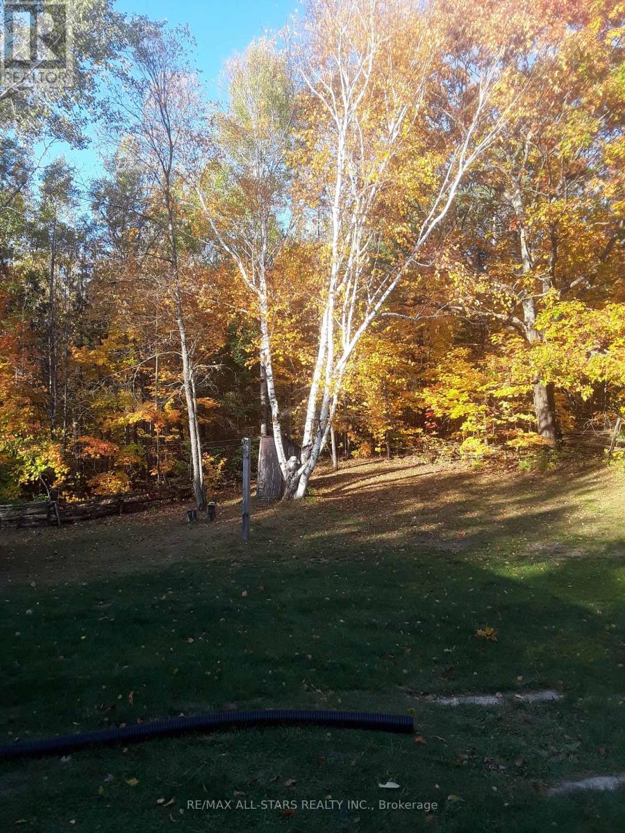 Photo 34 of 767 Galway Road, Trent Lakes ON