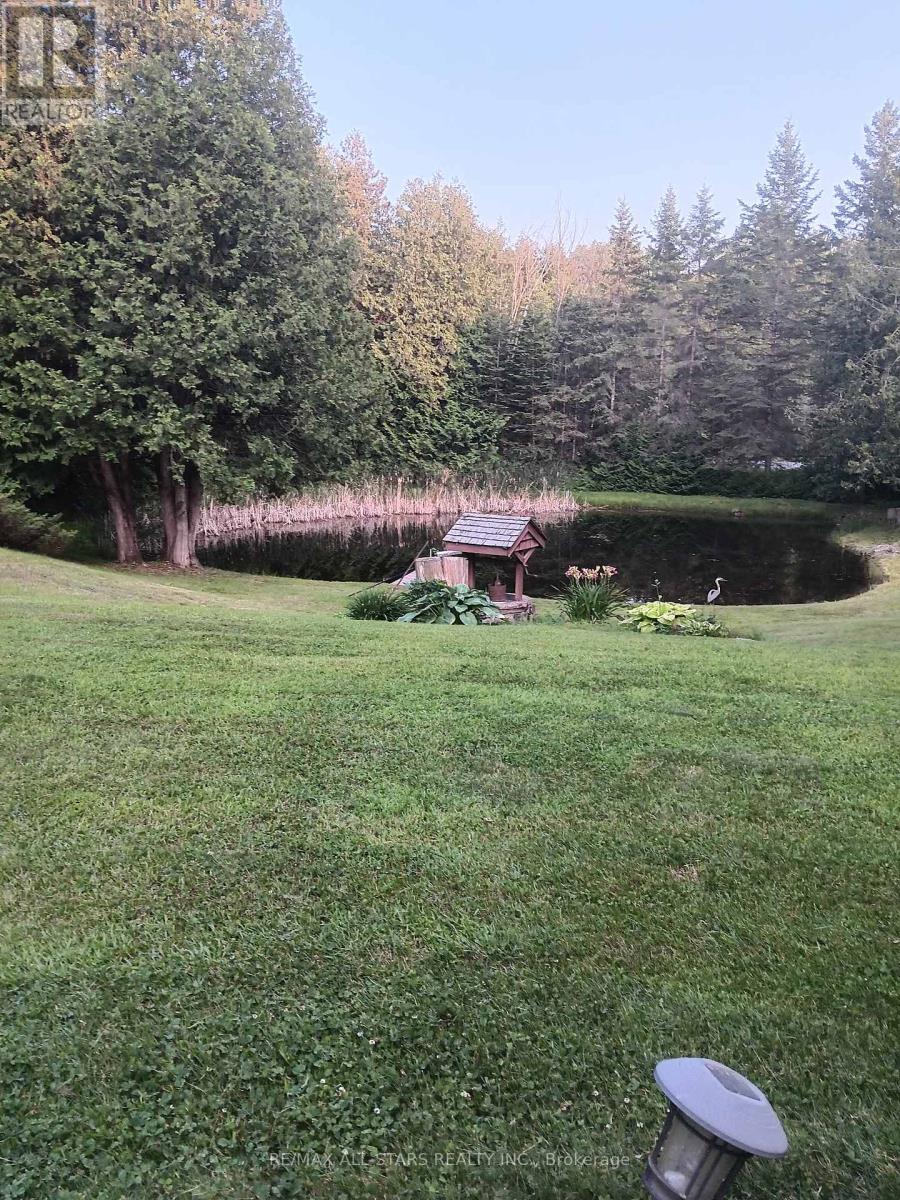 Photo 35 of 767 Galway Road, Trent Lakes ON