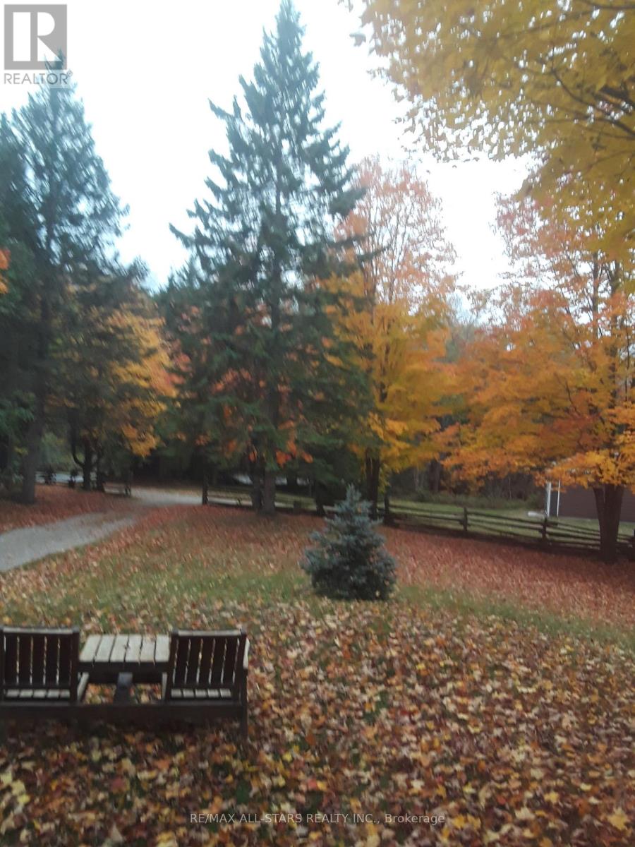 Photo 36 of 767 Galway Road, Trent Lakes ON
