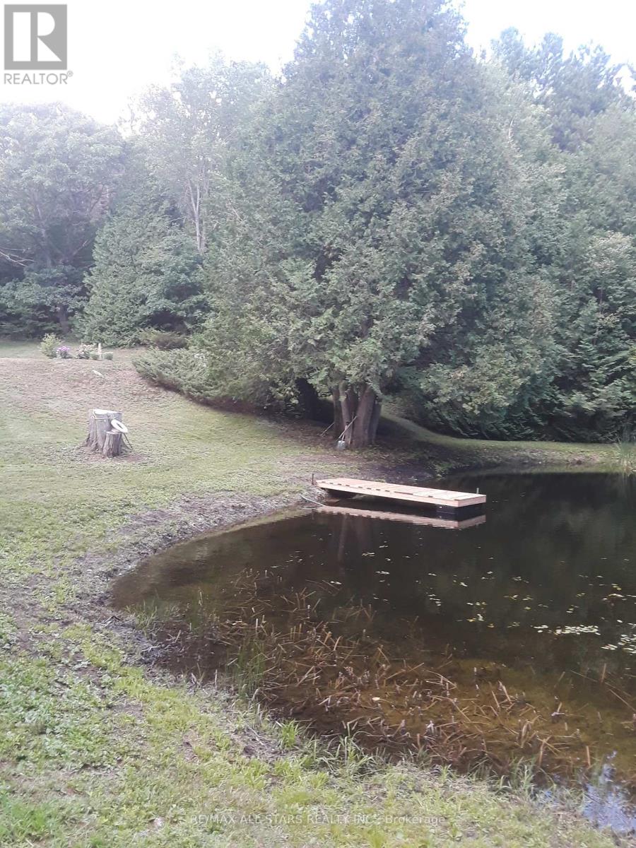 Photo 32 of 767 Galway Road, Trent Lakes ON