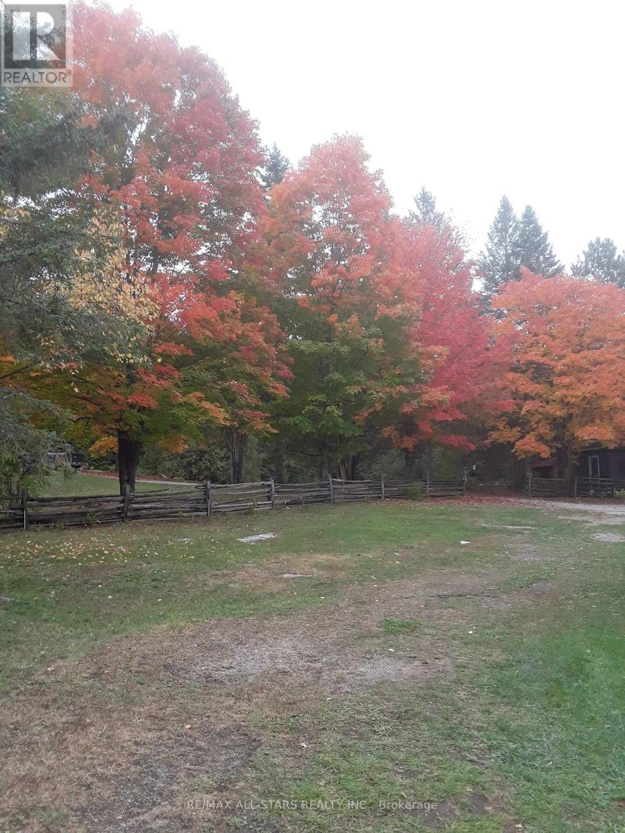 Photo 37 of 767 Galway Road, Trent Lakes ON