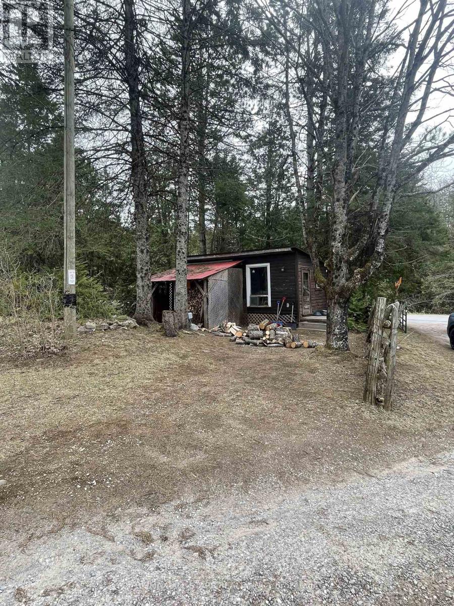 Photo 8 of 767 Galway Road, Trent Lakes ON