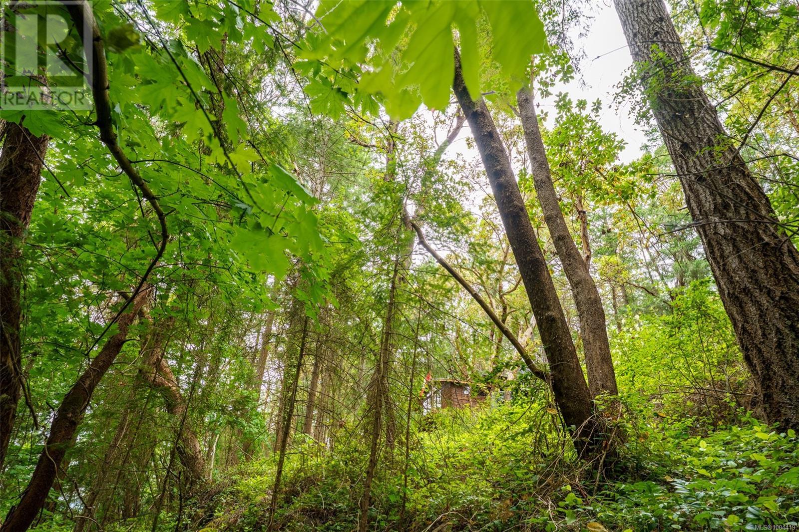 Photo 39 of Lot 80 Ruxton Island, Ruxton Island BC