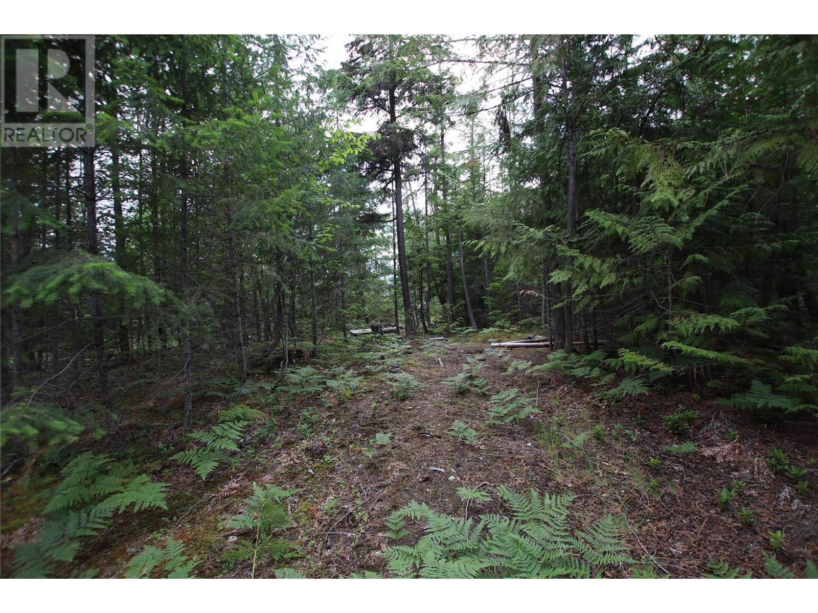 854 ALEXANDER ROAD - 15