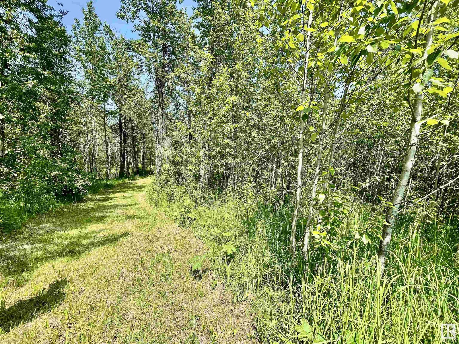 Photo 4 of 6 453041 Hwy 771, Rural Wetaskiwin County AB