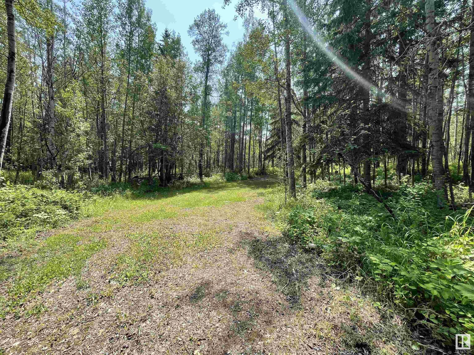 Photo 14 of 6 453041 Hwy 771, Rural Wetaskiwin County AB