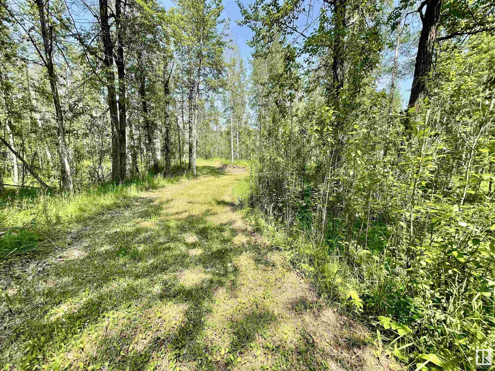Photo 5 of 6 453041 Hwy 771, Rural Wetaskiwin County AB