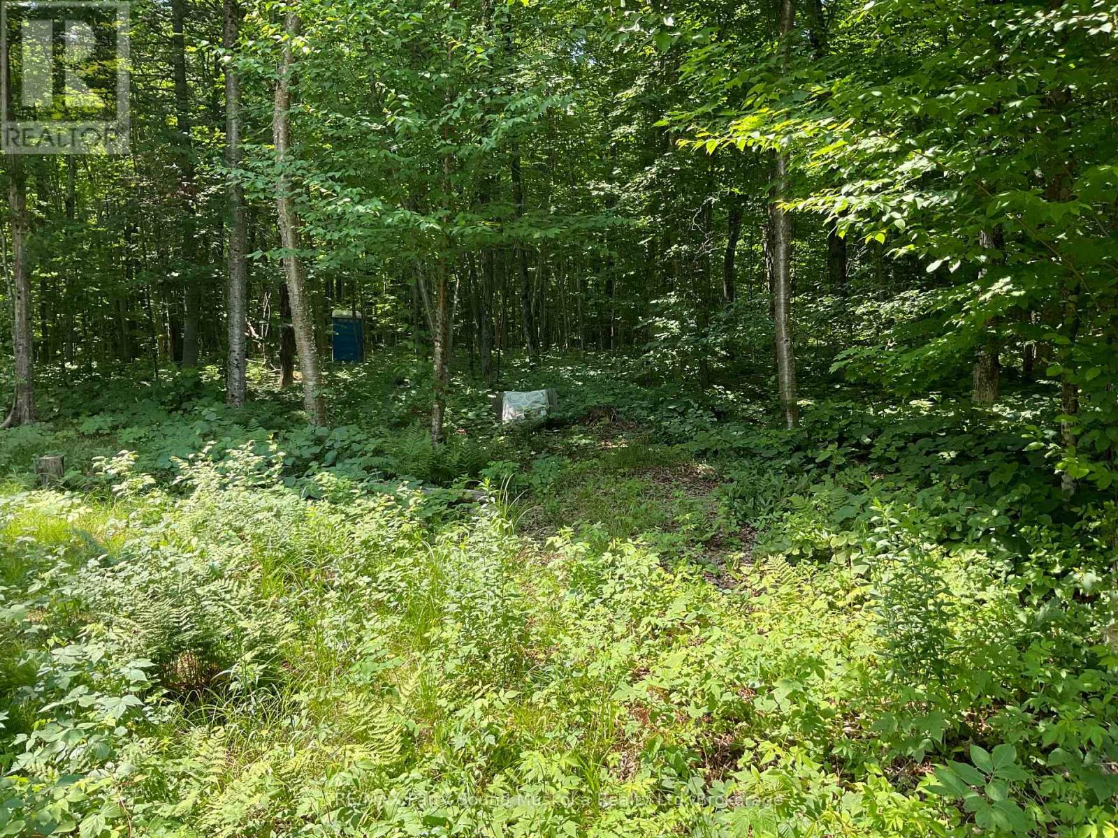 Photo 22 of 00 Jacks, Parry Sound Remote Area ON