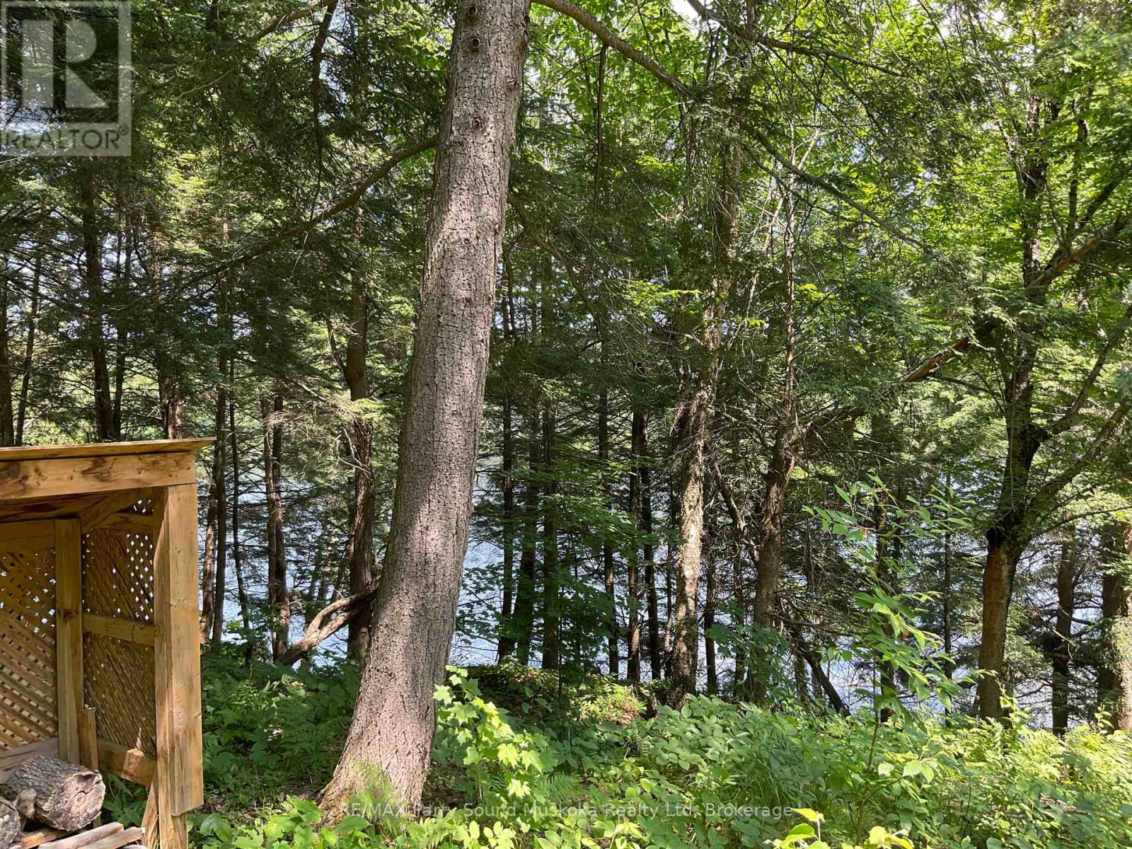 Photo 24 of 00 Jacks, Parry Sound Remote Area ON