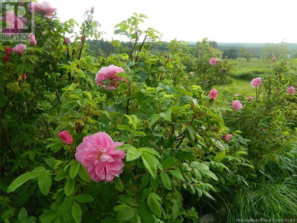 Photo 30 of 131 Fairfield Road, Sackville NB