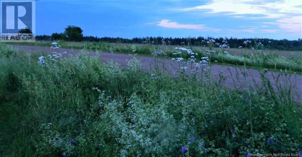 Photo 39 of 131 Fairfield Road, Sackville NB