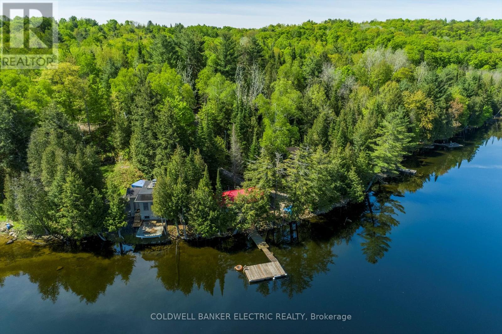 Photo 41 of 1224 Mccrackens Lane, Minden Hills ON