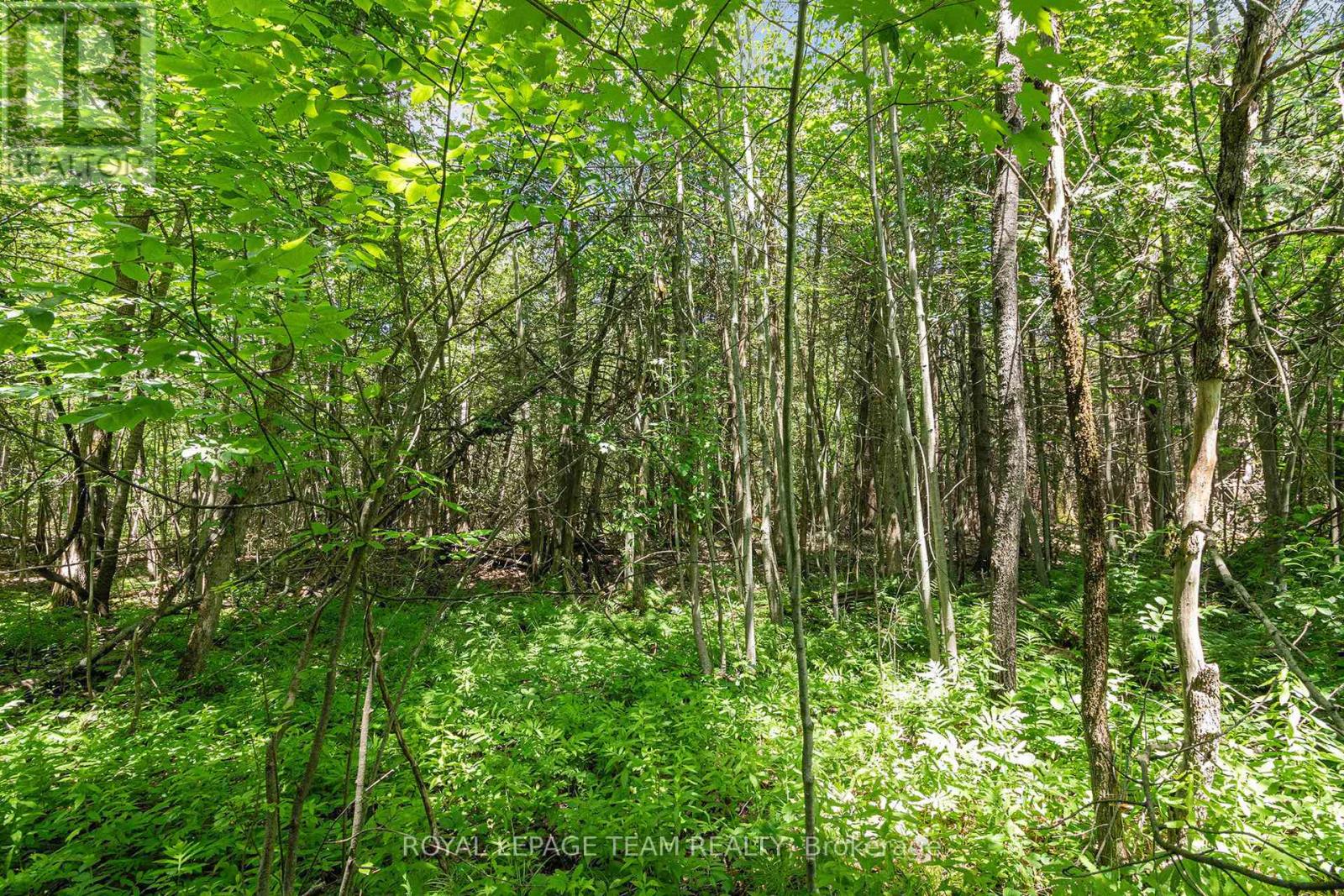 Photo 7 of L 2 3575 Paden Road, Ottawa ON