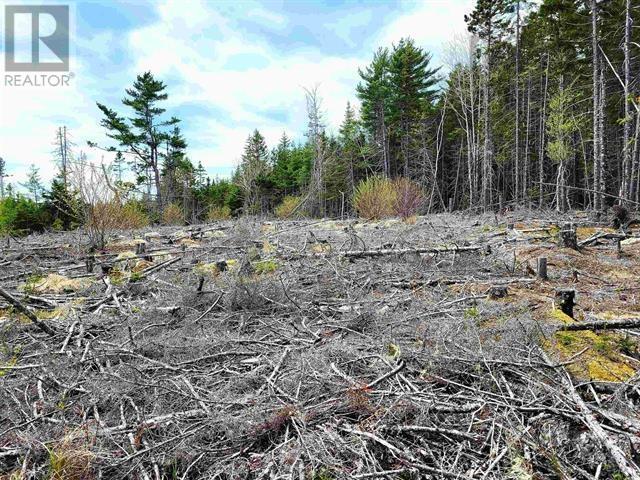 Property 15 of 25 of Lot Back Road