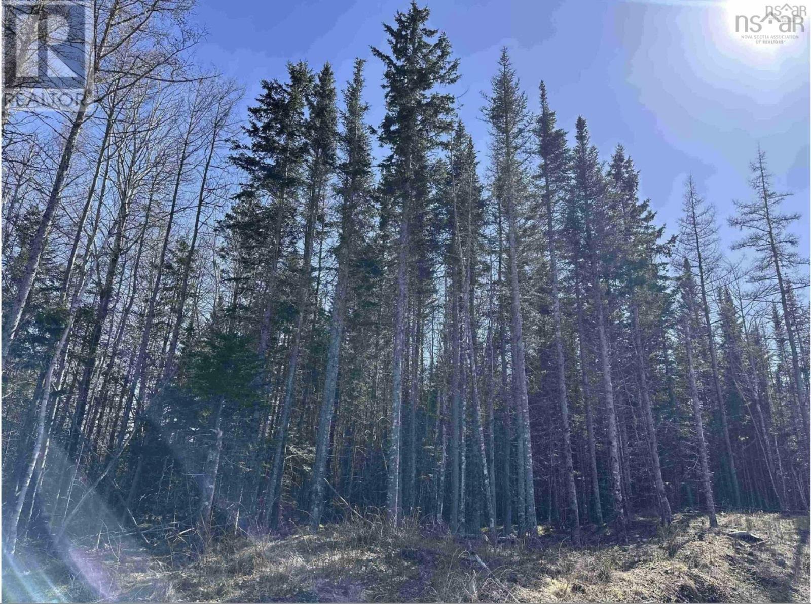 Property 9 of 23 of Lot 16 - Lower River Road