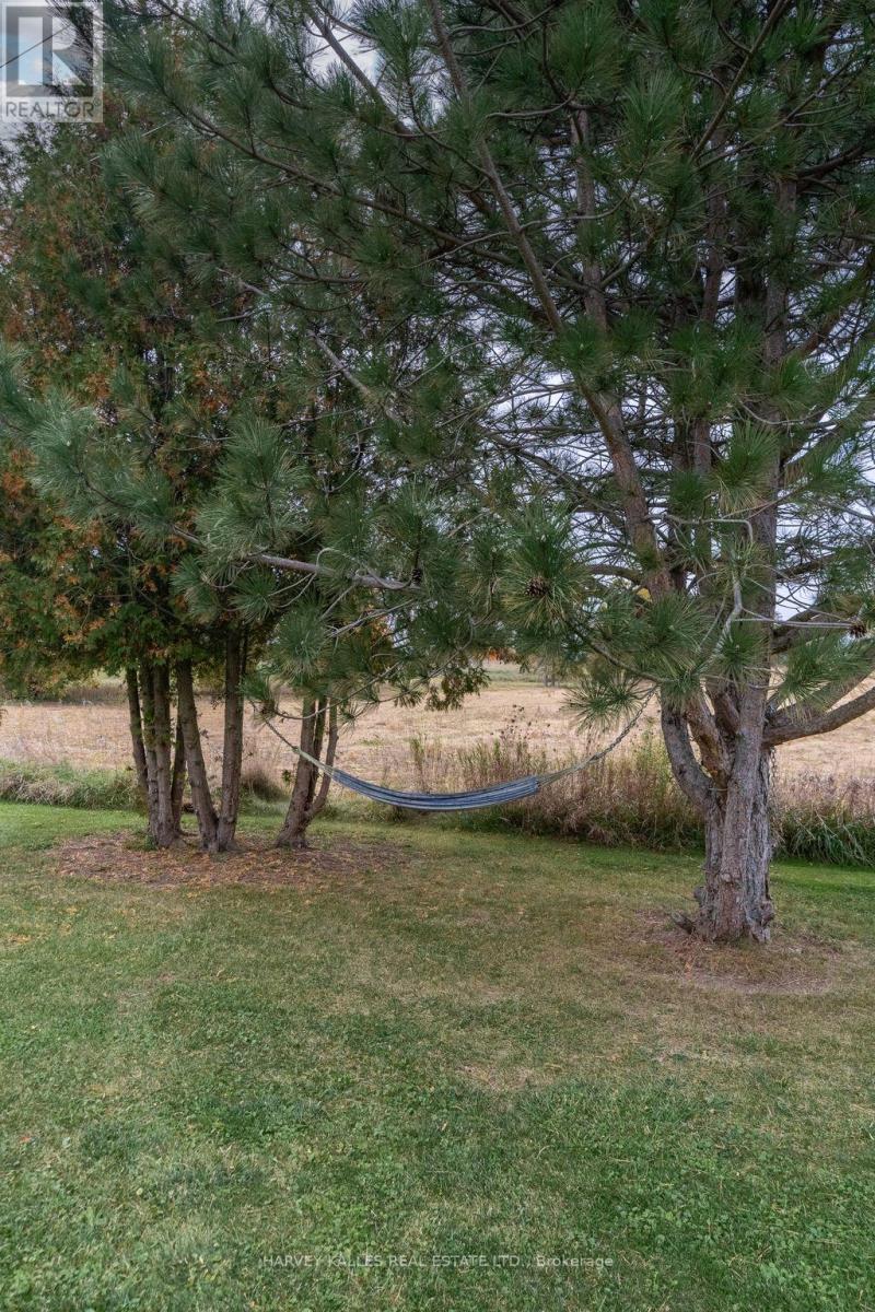 Photo 33 of 286 County Rd 11 Road, Prince Edward County ON