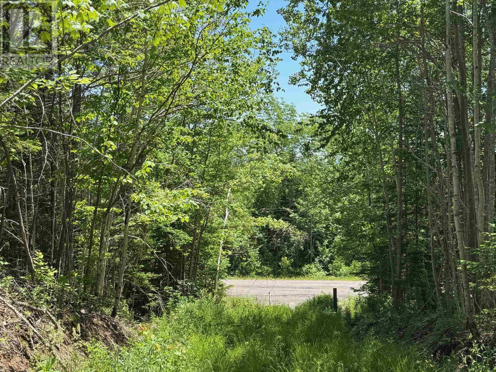 Property 5 of 20 of Marble Mountain Road