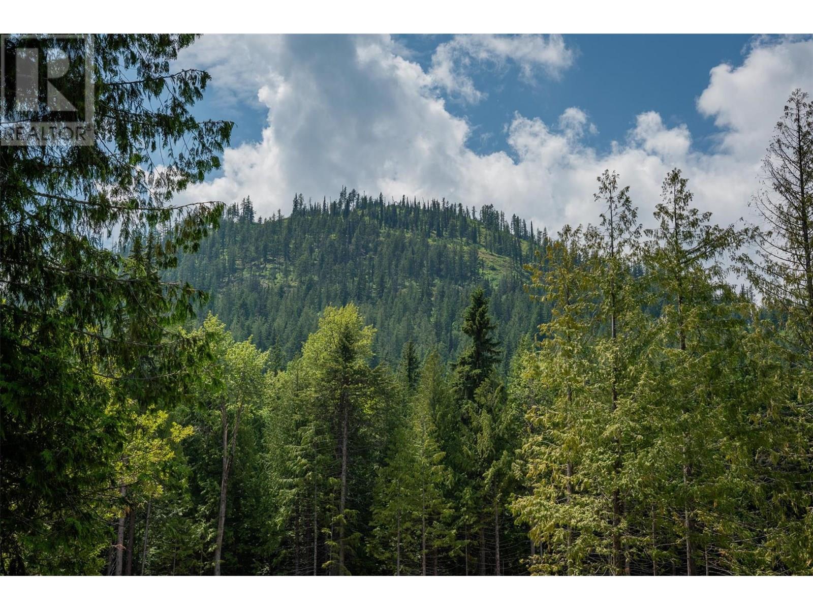 302 Larch Terr, Rossland