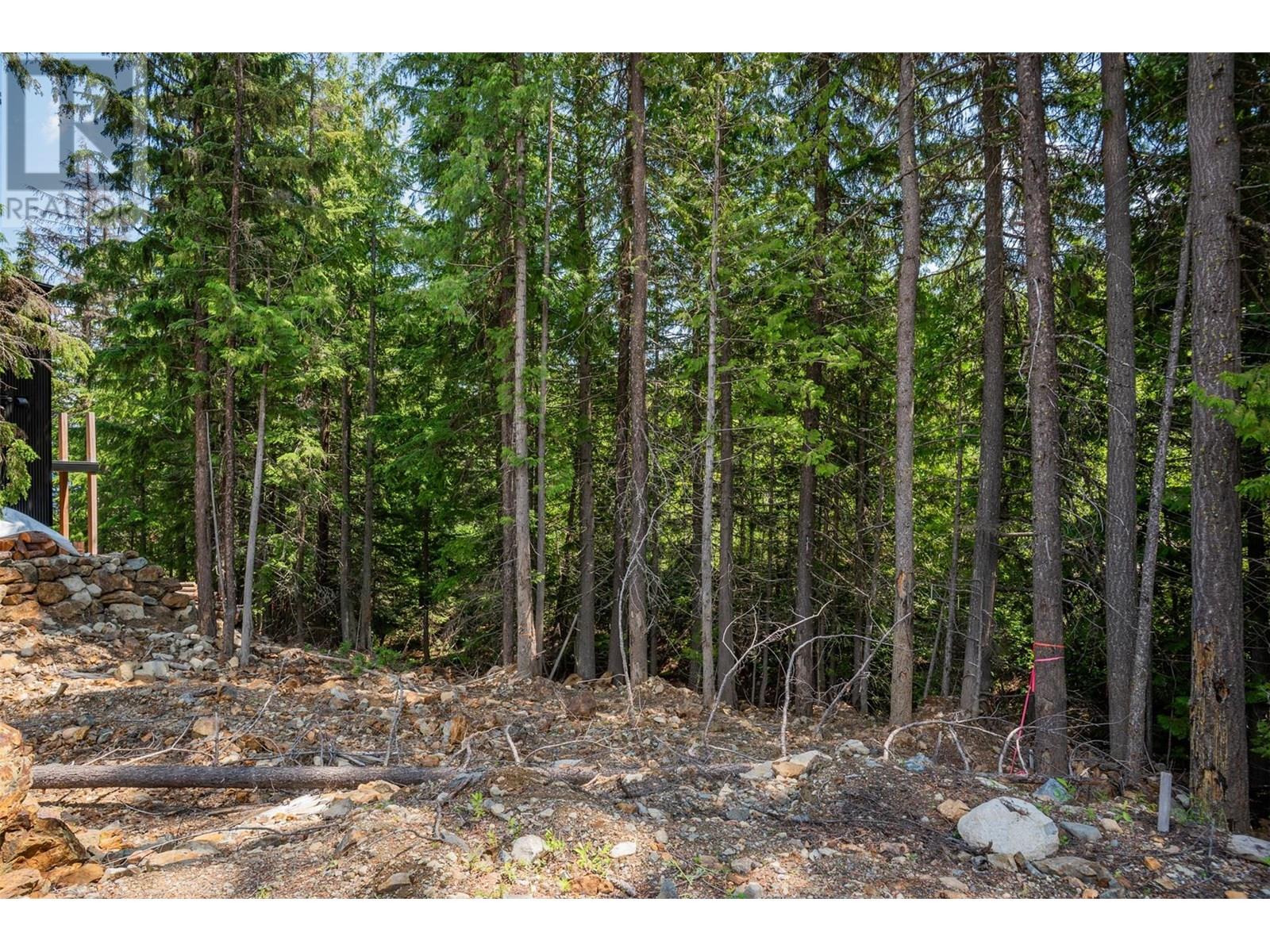 302 Larch Terr, Rossland