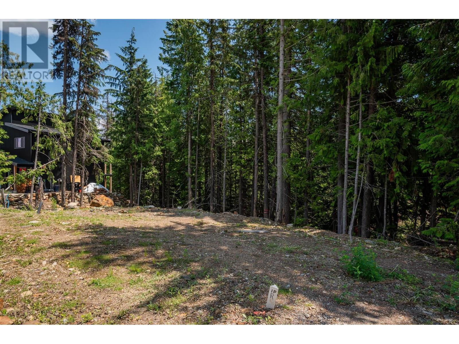 302 Larch Terr, Rossland