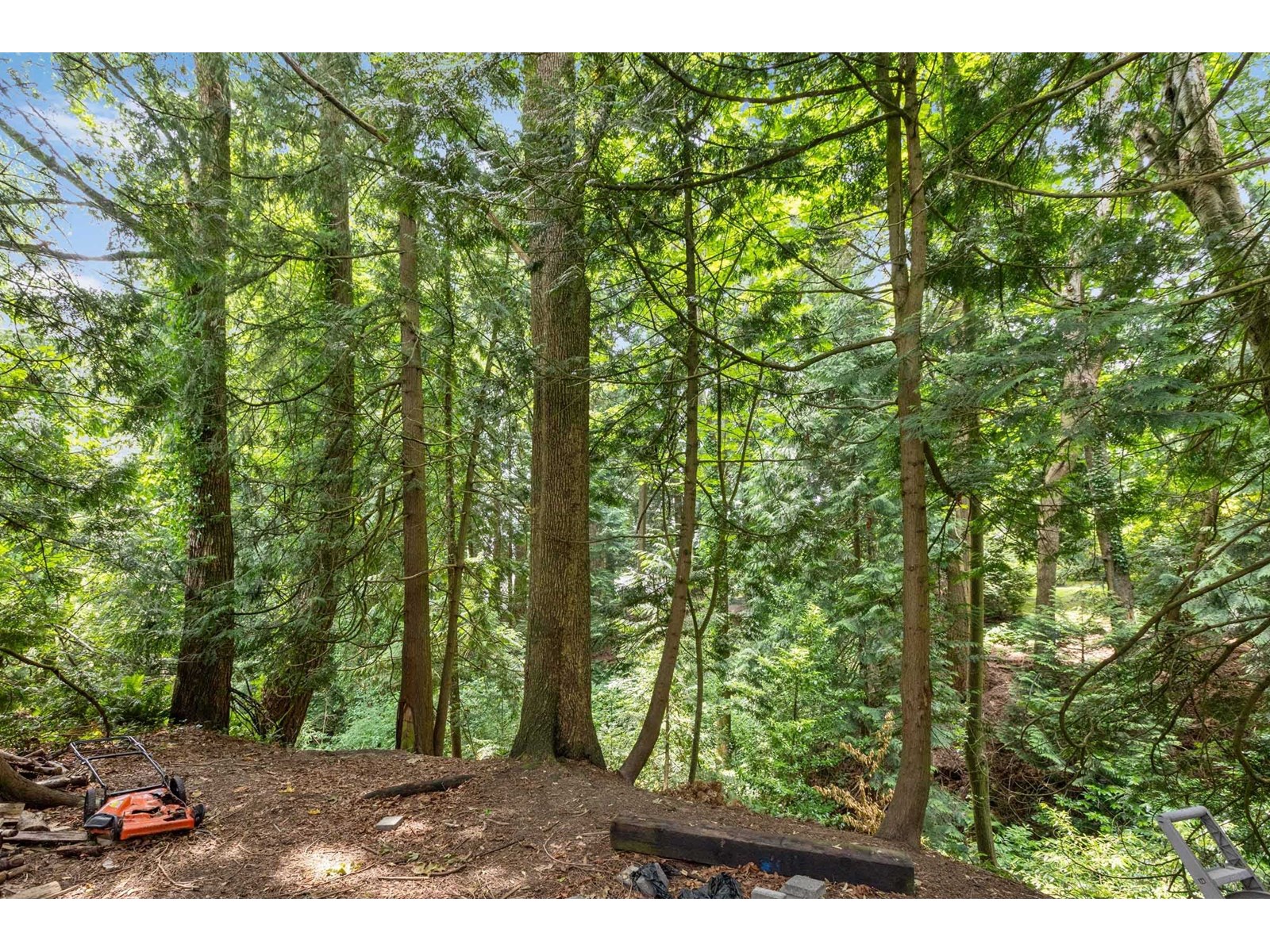 Photo 35 of 14093 Magdalen Avenue, White Rock BC