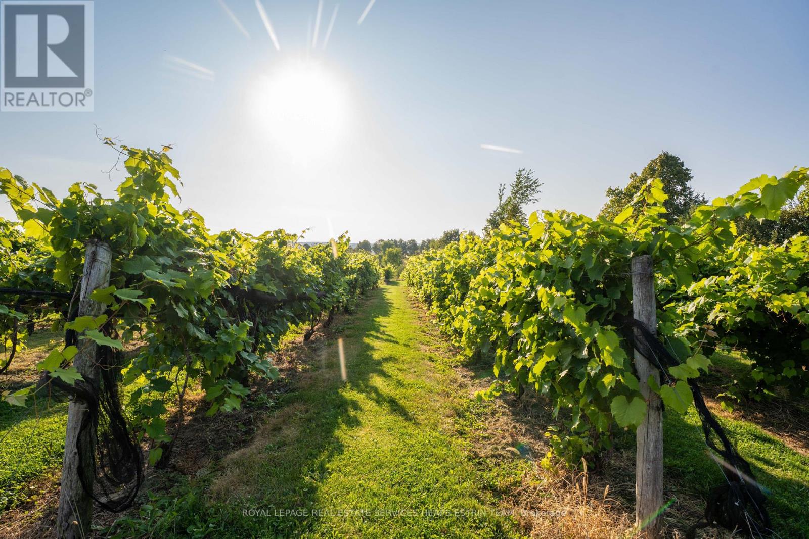 Photo 18 of 1609 Nottawasaga Concession 6 South, Clearview ON