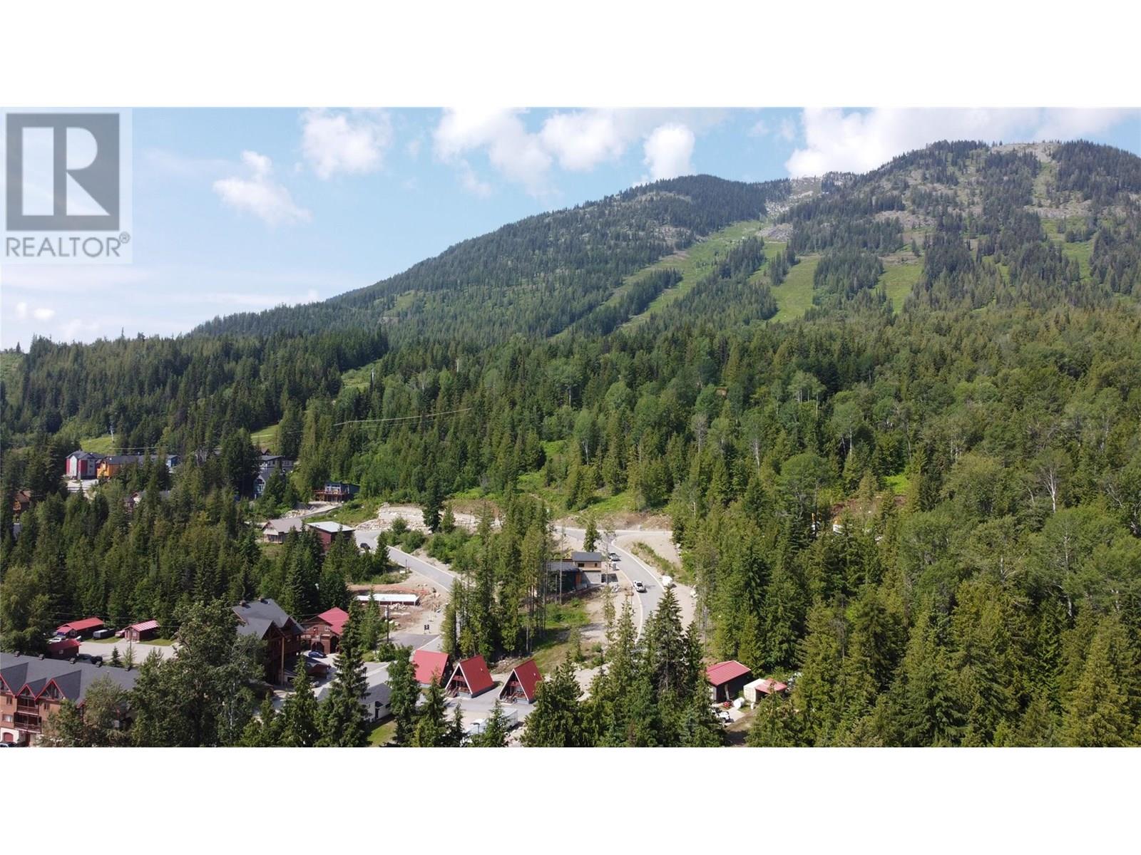 1080 OLAUS Way Unit# 3A, Rossland