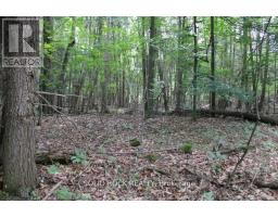 2209 Jochem Road, Edwardsburgh/cardinal, ON K0G1T0 Photo 8