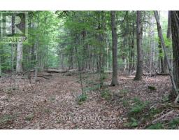 2209 Jochem Road, Edwardsburgh/cardinal, ON K0G1T0 Photo 9