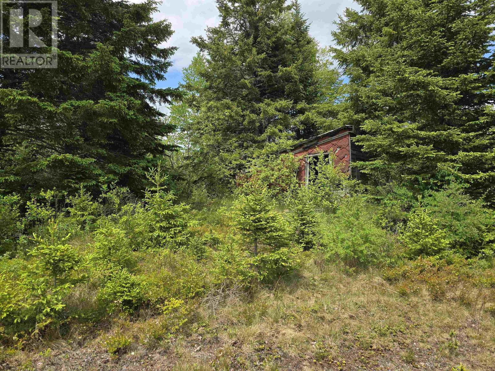 Property 4 of 9 of 17987 Highway 316