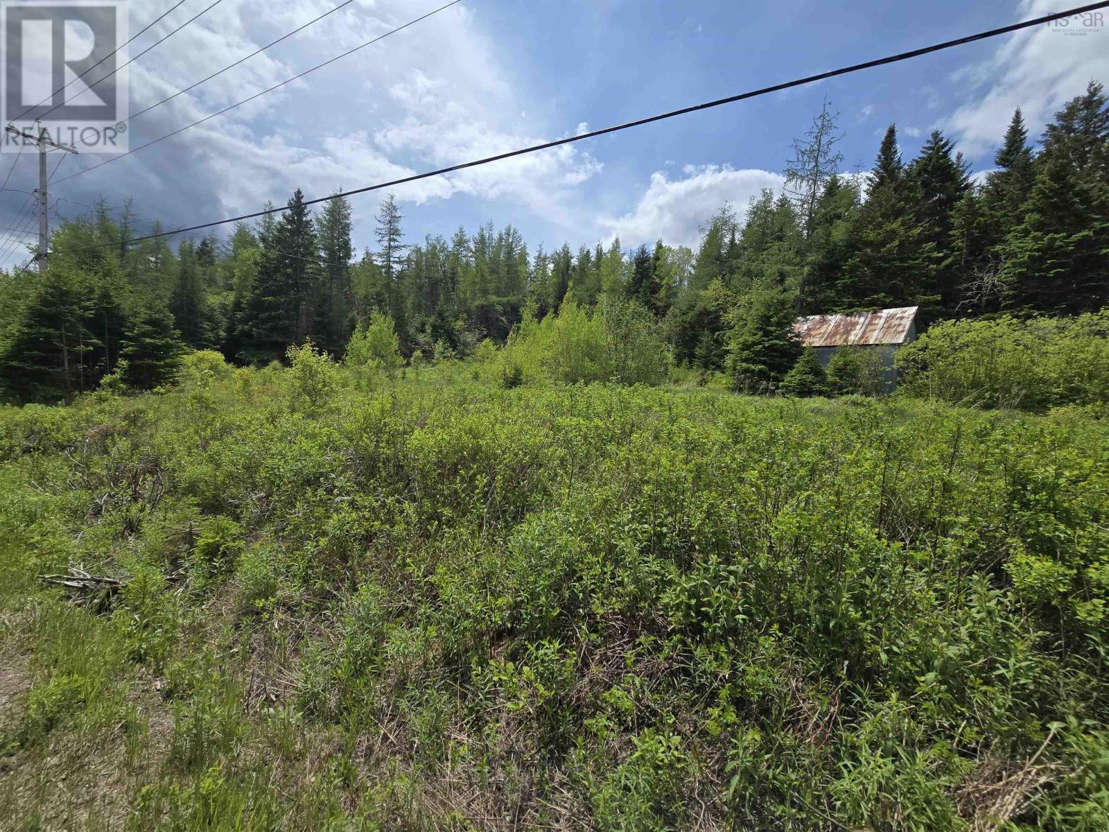 Property 3 of 9 of 17987 Highway 316