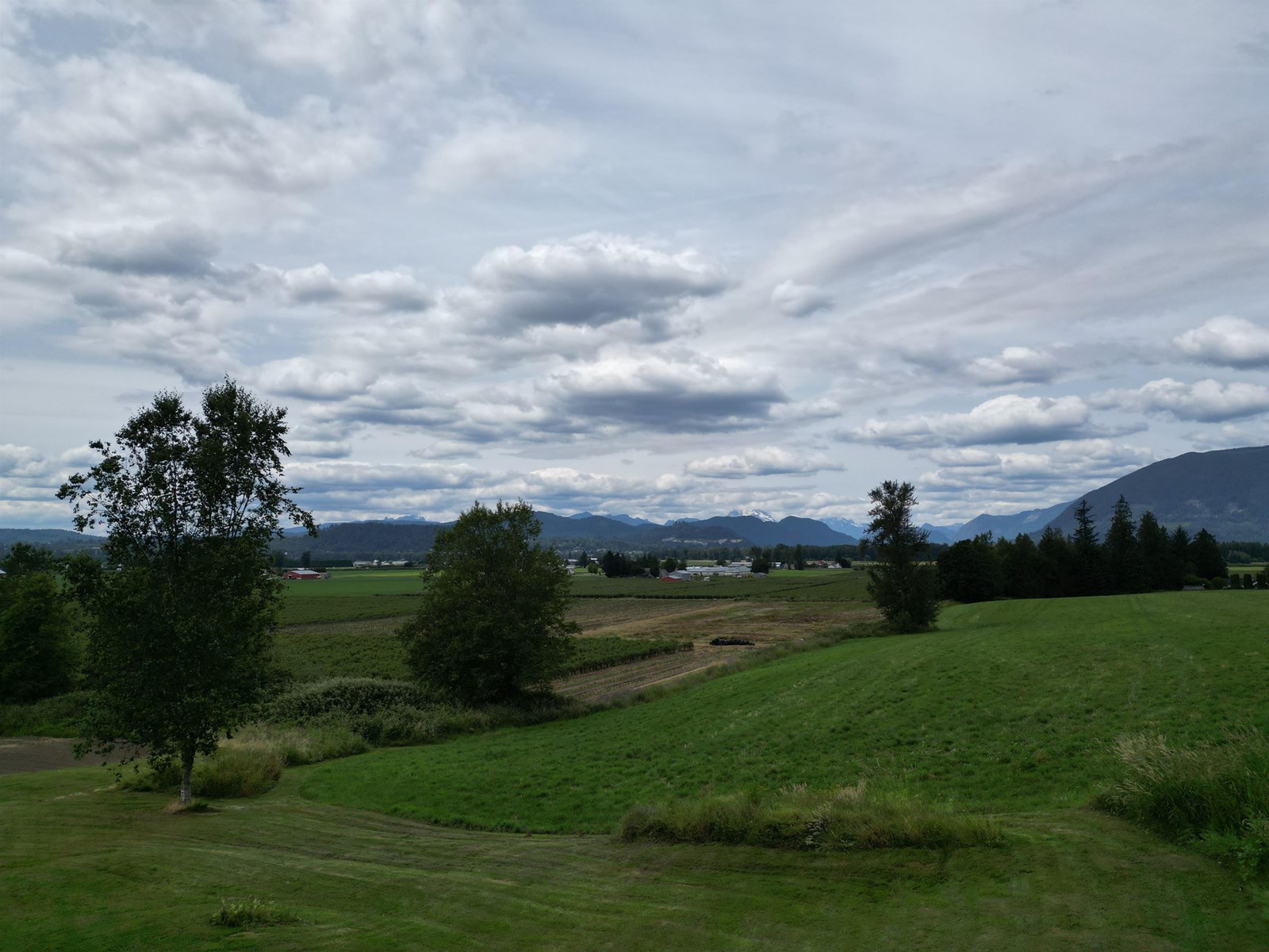 35925 FORE ROAD, Abbotsford