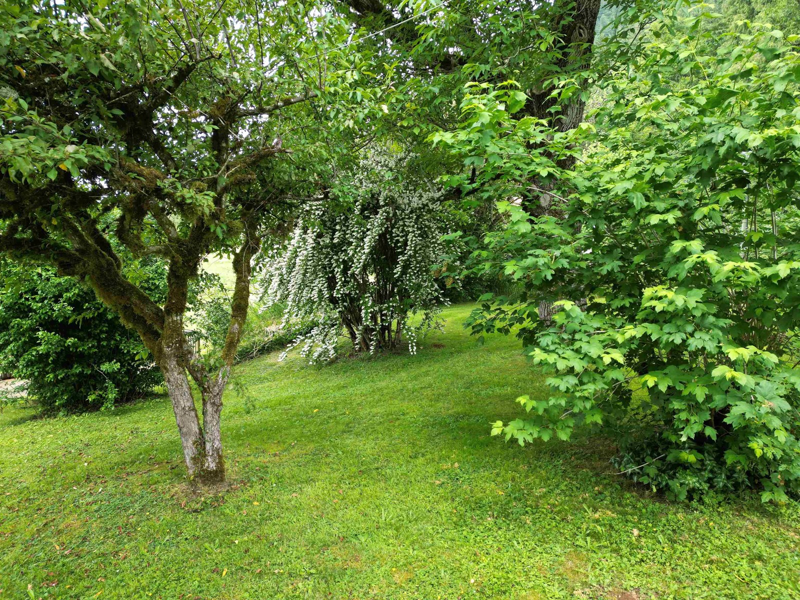 35925 FORE ROAD, Abbotsford