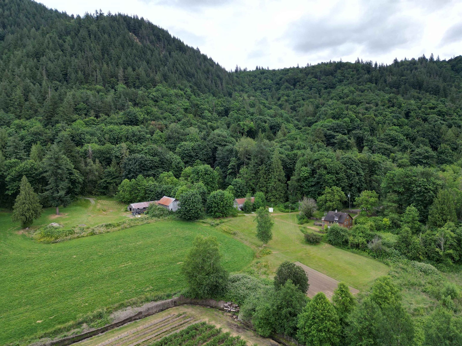 35925 FORE ROAD, Abbotsford