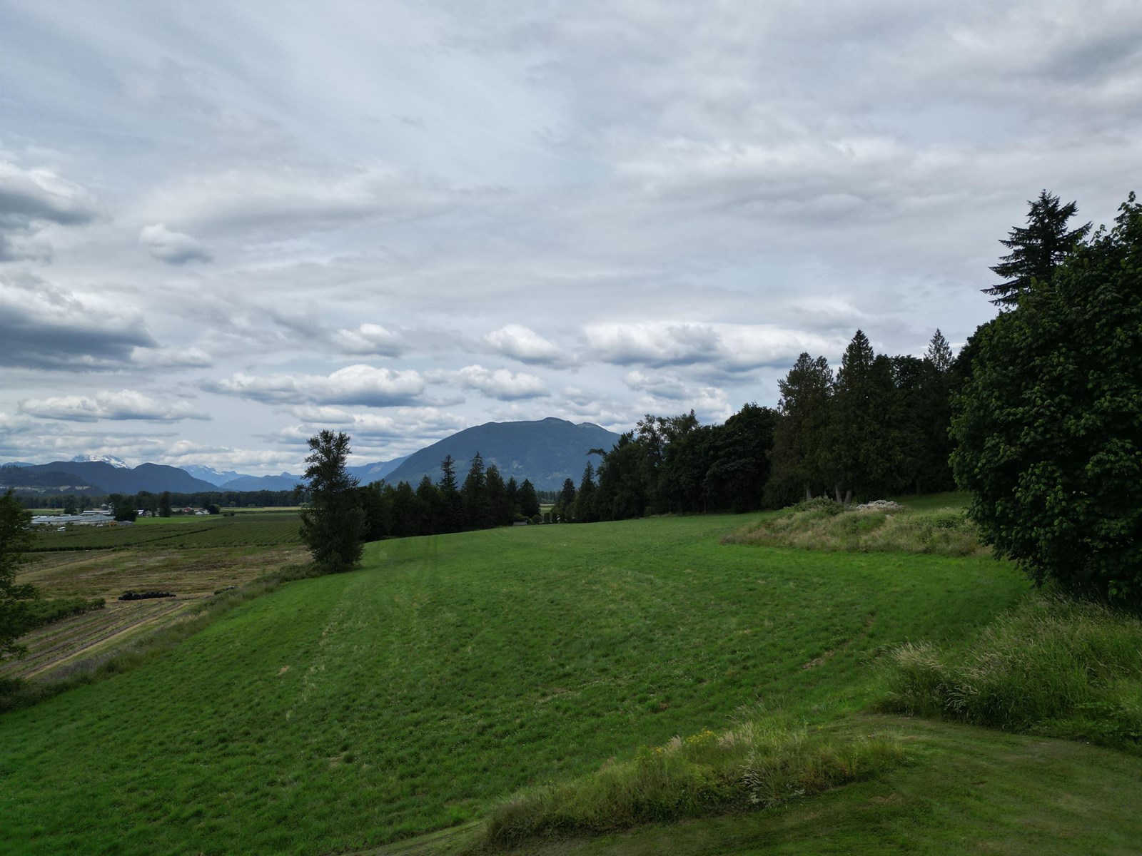 35925 FORE ROAD, Abbotsford