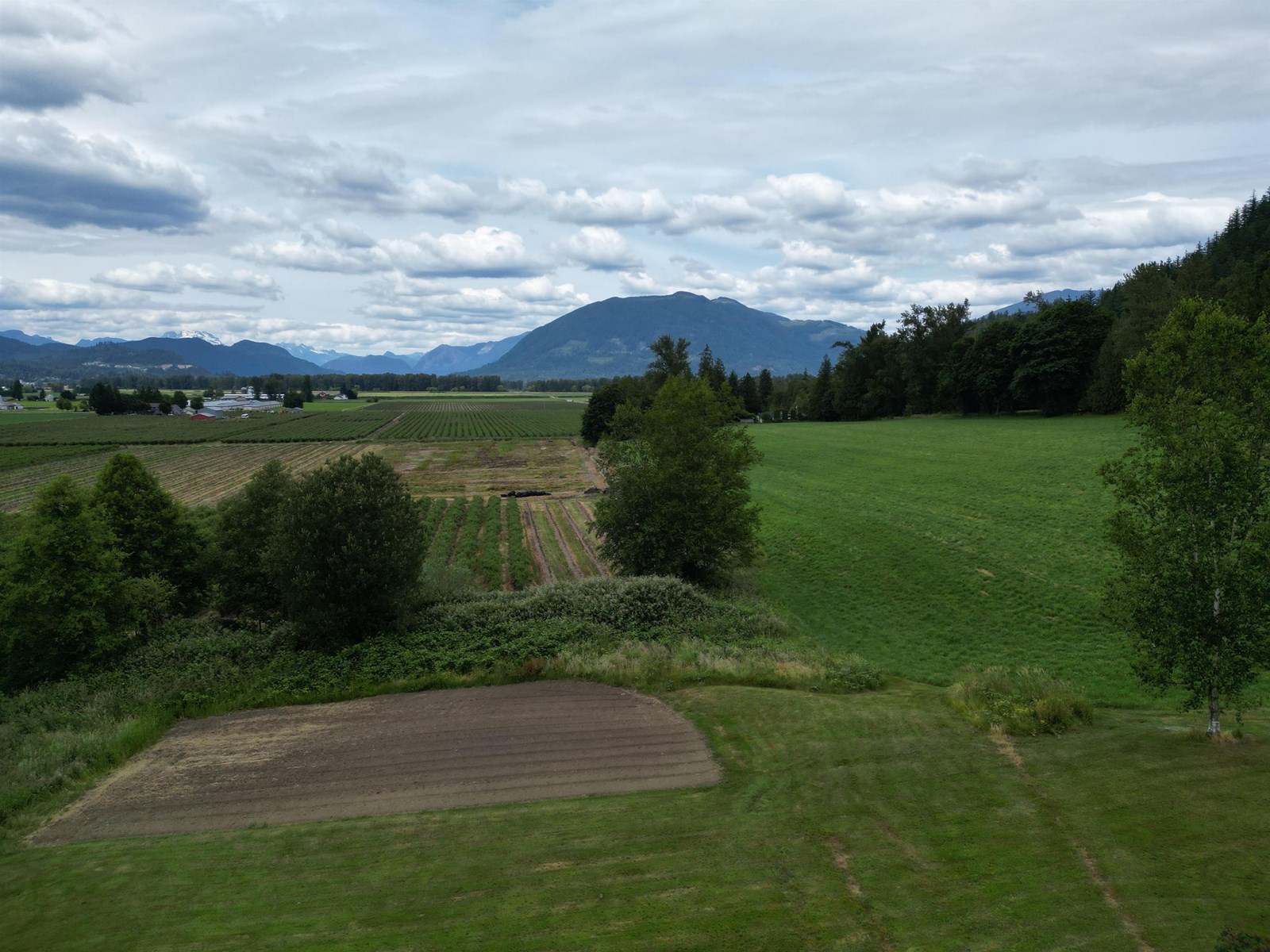 35925 FORE ROAD, Abbotsford
