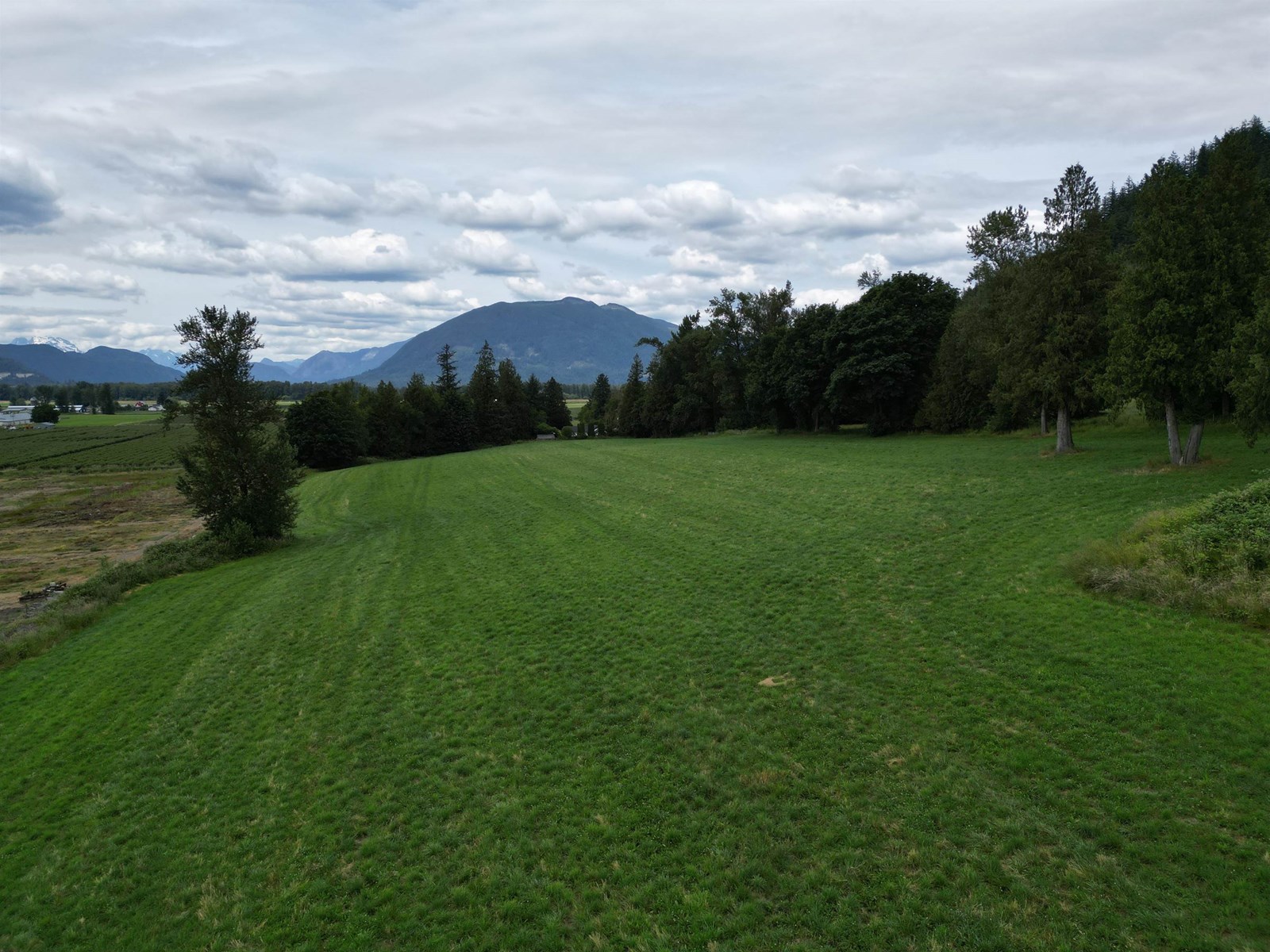 35925 FORE ROAD, Abbotsford